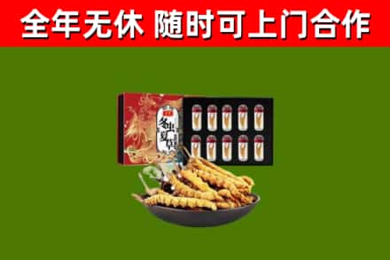 邵东回收冬虫夏草价格
